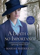 Cover of A Death of No Importance