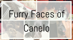 Furry Faces of Canelo